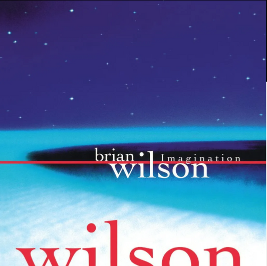 Brian Wilson - Imagination Record Store Day 26